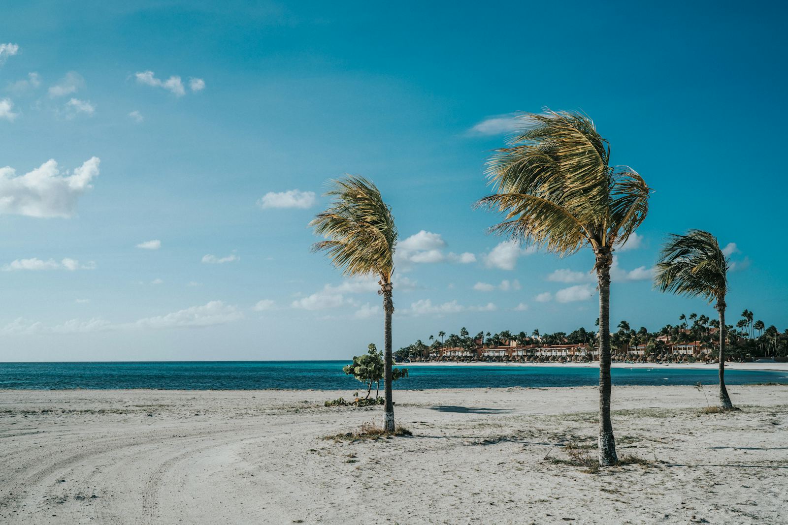 Aruba Resorts, Compared Before You Book