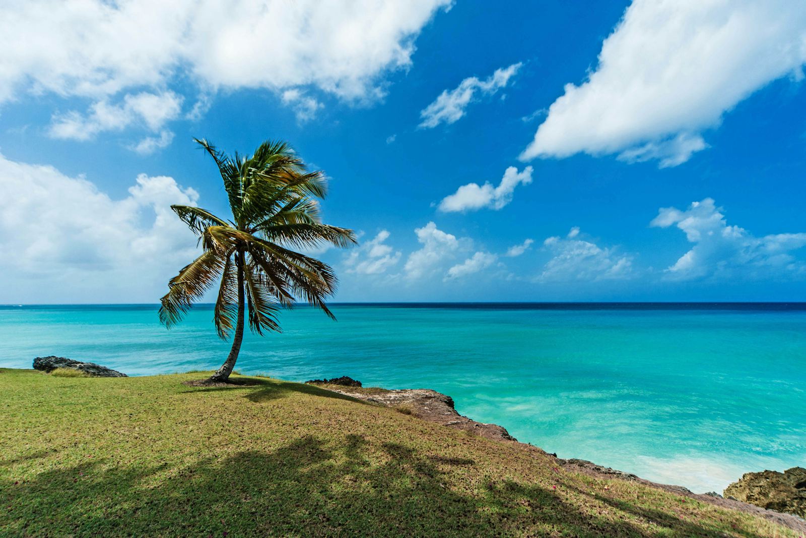 Barbados Resorts, Compared Before You Book