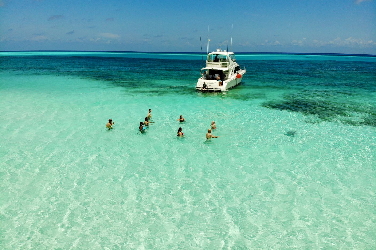 Cozumel Hotels, Compared Before You Book