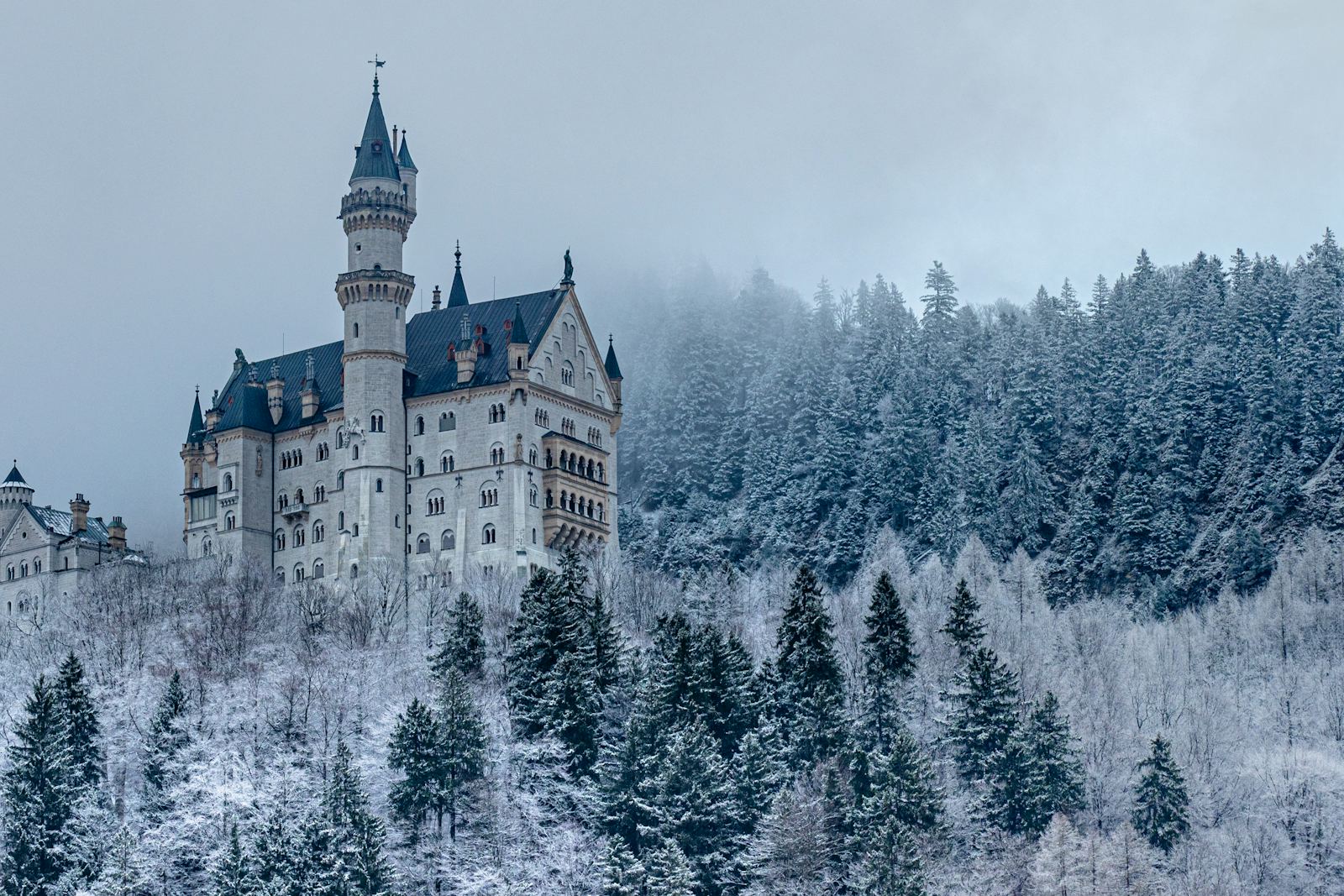 Neuschwanstein Castle in a snowy Bavarian forest, Germany