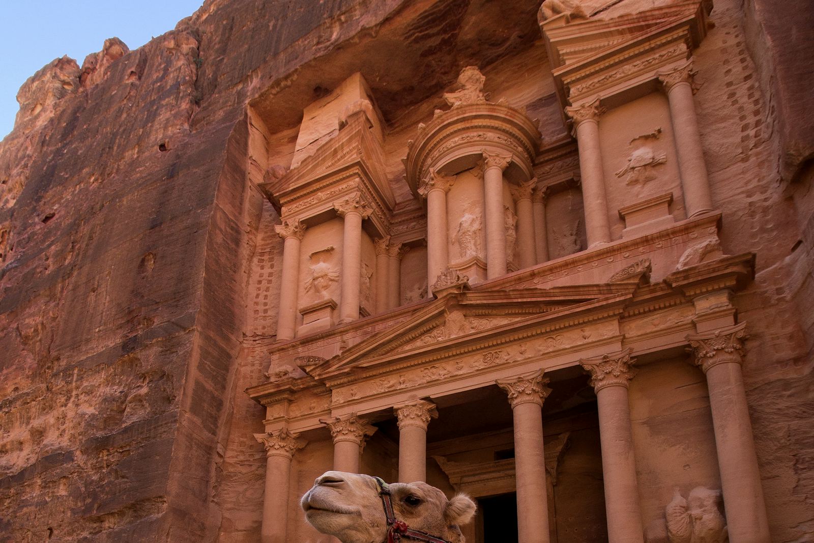 Petra Flights & Amman Stays, Compared for You