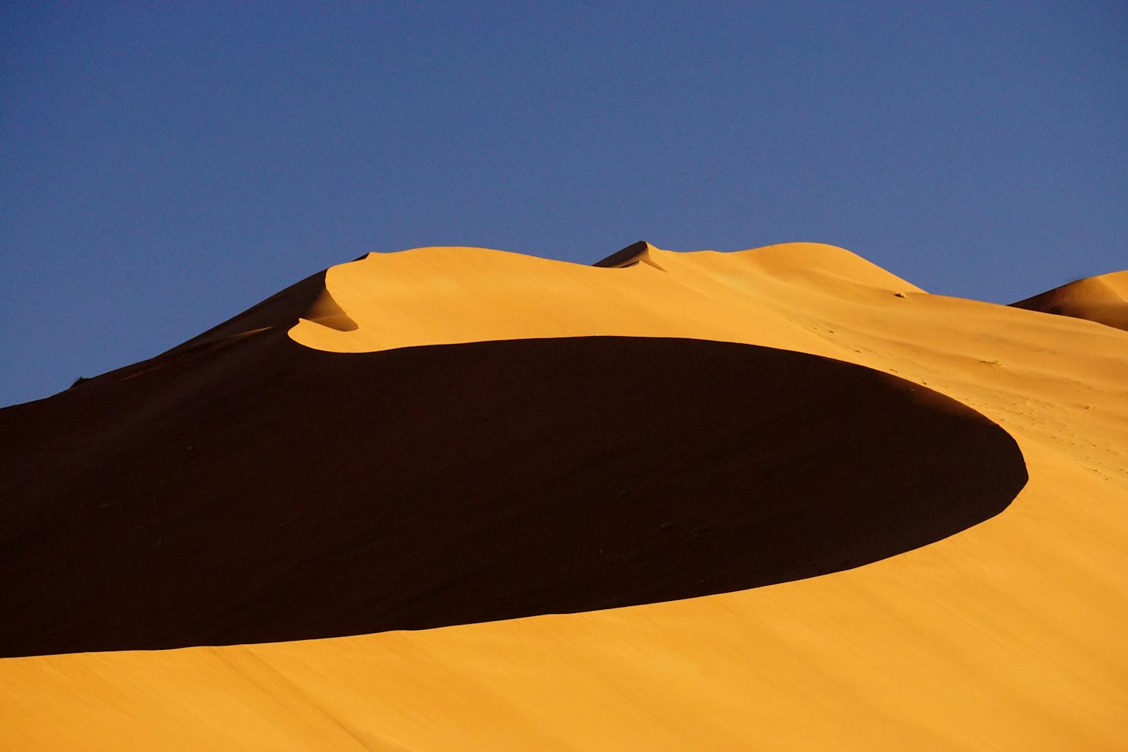 Windhoek Flights & Desert Lodge Planning, Compared
