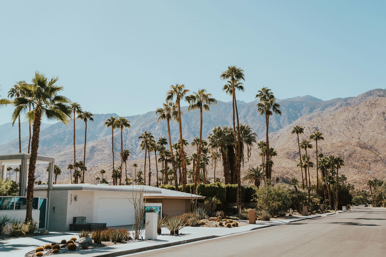 Mid-century homes and palms below the desert mountains, Palm Springs, California