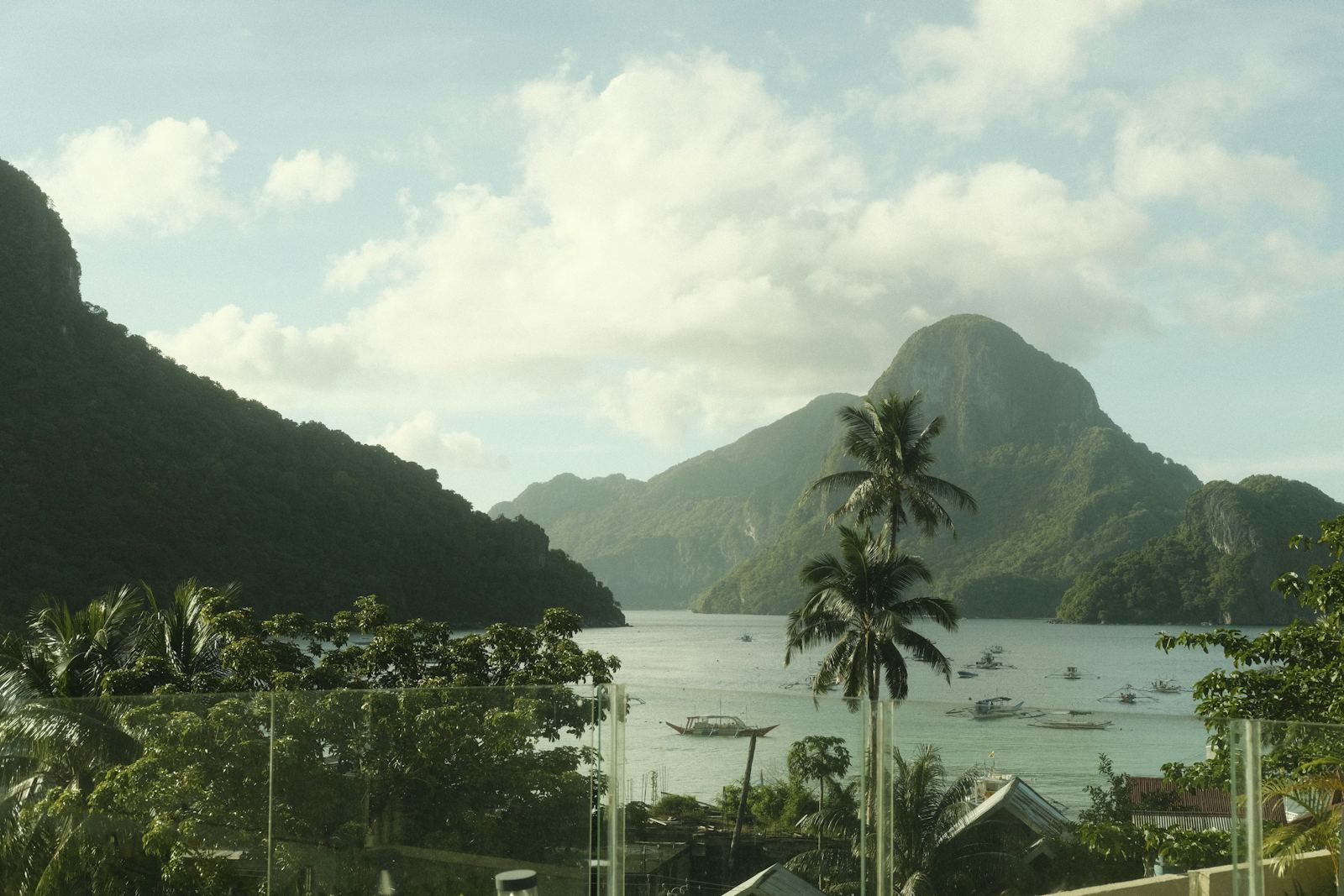 A lush tropical bay with palm trees in Samoa