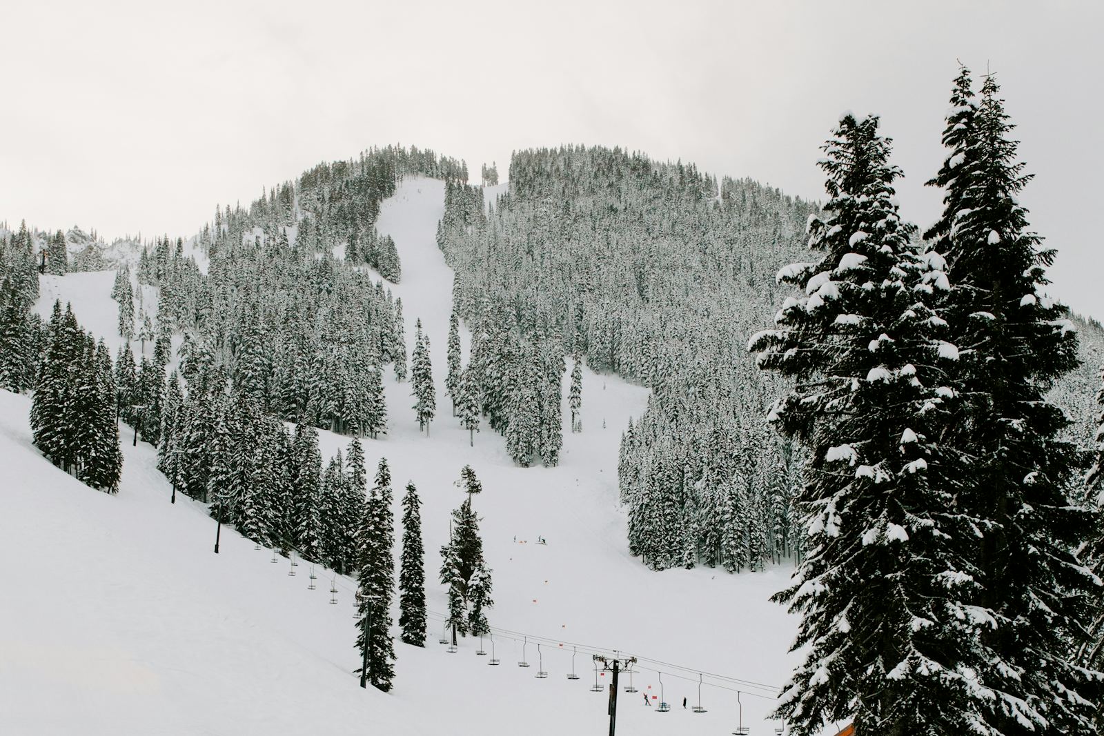 Snow Conditions Change Fast — Book With Someone Who's Watching