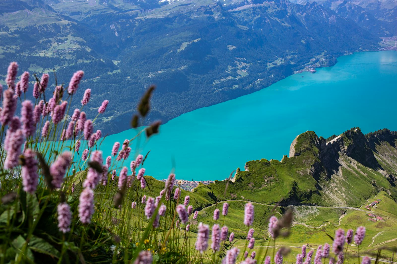 Turquoise Lake Brienz in the Swiss Alps