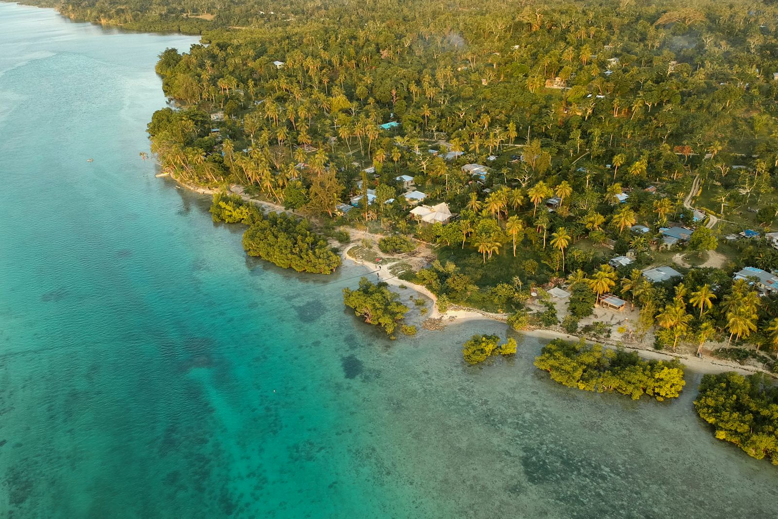 Turquoise reef and palm-covered coastline in Vanuatu