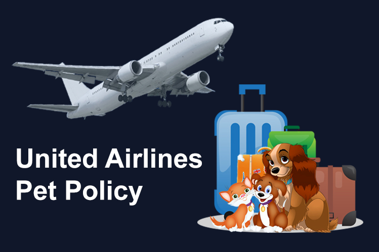 United Airlines Pet Policy